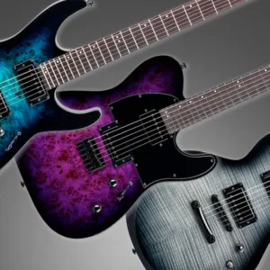 ESP LTD 200DX Guitar models